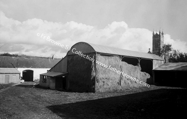 ST MARYS ABBEY (CISTERCIAN NUNS)  FARM YARD  BROTHER LUKE O'CIST AND HIS COLLIES